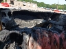 1GCWGAFP1M1****** Repairable 2021 Chevrolet Express in North Carolina State