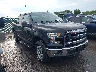1FTEW1EP9FF****** Salvamento y Destrozados 2015 Ford F-150 en Cleveland