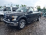 1FTEW1EP9FF****** Usados y Reparables 2015 Ford F-150 en Cleveland