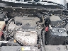 2T3RFREV4HW****** Reparables 2017 Toyota RAV4 en Bridgeport