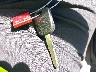 1HGFA16598L****** Salvage 2008 Honda Civic in Nevada State