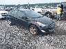 5NPDH4AE3DH****** Salvamento y Destrozados 2013 Hyundai Elantra en Elkton