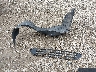 4S3BNAH62G3****** Destrozados 2016 Subaru Legacy en Estado de Pennsylvania