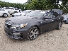 5XXGT4L38KG****** Usados y Reparables 2019 Kia Optima en Indianapolis