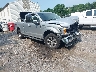 1FTFX1EG3JF****** Salvamento y Destrozados 2018 Ford F-150 en Albany