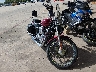 1HD1CGP105K****** Salvage and Wrecked 2005 Harley-Davidson Sportster 1200 Custom in Rec Rides Online Exclusive