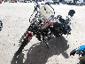 1HD1CGP105K****** Used and Repairable 2005 Harley-Davidson Sportster 1200 Custom in Rec Rides Online Exclusive