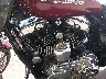 1HD1CGP105K****** Used 2005 Harley-Davidson Sportster 1200 Custom in Rec Rides Online Exclusive