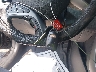 KMHDH4AE5FU****** Salvamento 2015 Hyundai Elantra en Estado de Maryland