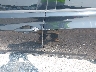 KMHDH4AE5FU****** Salvamento y Reparables 2015 Hyundai Elantra en Estado de Maryland