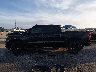 3GCPADE80PG****** Repairable 2023 Chevrolet Silverado 1500 in Florida State