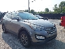 5XYZUDLB4DG****** Salvamento y Destrozados 2013 Hyundai Santa Fe en Cleveland