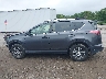 JTMBFREV8GJ****** Salvage 2016 Toyota RAV4