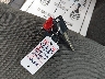 5N1AN08U69C****** Salvamento 2009 Nissan Xterra en Estado de Luisiana