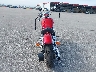 1HD1CGP102K****** Salvamento y Reparables 2002 Harley-Davidson Sportster 1200 Custom en Estado de Nebraska