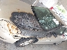 2G1WB5E35C1****** Salvage and Repairable 2012 Chevrolet Impala in Florida State