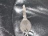 2C3AE66G74H****** Salvage 2004 Chrysler 300M in Pennsylvania State