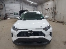 JTMG1RFV1KD****** Wrecked 2019 Toyota RAV4 in Pennsylvania State