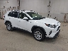 JTMG1RFV1KD****** Salvage and Wrecked 2019 Toyota RAV4 in Erie