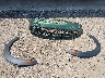 WMWZC5C55FW****** Wrecked 2015 MINI Countryman in New York State
