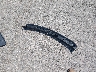 7SAYGDEE1RA****** Wrecked 2024 Tesla Model Y in Connecticut State