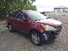 5J6RE4H71AL****** Salvage and Wrecked 2010 Honda CR-V in Indianapolis
