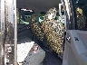 1N6DD0EV0HN****** Wrecked 2017 Nissan Frontier in Memphis