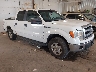 1FTFW1EF3DK****** Salvamento y Destrozados 2013 Ford F-150 en Flint