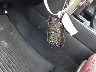 JTJAM7BX8L5****** Salvamento 2020 Lexus GX en Estado de Texas