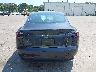 5YJ3E1EA6SF****** Wrecked 2025 Tesla Model 3