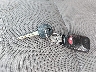 5NPDH4AE2EH****** Salvage 2014 Hyundai Elantra in Illinois State