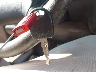 WVWGG83AXVB****** Salvamento 1997 Volkswagen Passat en Estado de Arizona