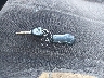 1D7HU18D53S****** Salvage 2003 Dodge Ram 1500 in New York State