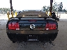 1ZVHT82H585****** Wrecked 2008 Ford Mustang