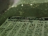 1GNFC36069R****** Used 2009 Chevrolet Suburban 1500 in Shreveport