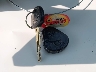 KMHDN46DX6U****** Salvamento 2006 Hyundai Elantra en Estado de Nueva Jersey