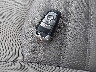 3FA6P0HD3JR****** Salvage 2018 Ford Fusion in Georgia State