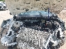 1FMCU0MN7RU****** Repairable 2024 Ford Escape in Longview