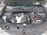 5XYZW4LA4FG****** Reparables 2015 Hyundai Santa Fe en Tampa