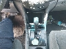 1HGCM56356A****** Salvage 2006 Honda Accord in California State