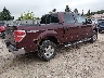 1FTPW14V49K****** Salvamento y Destrozados 2009 Ford F-150 en Estado de Wisconsin