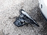 LRBFZPR48TD****** Wrecked 2026 Buick Envision in Ohio State