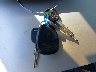 1GYEE637650****** Salvamento 2005 Cadillac SRX en Estado de Utah