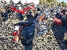 1HD1BW55X8Y****** Salvage and Wrecked 2008 Harley-Davidson Heritage Softail Classic in Oregon State