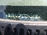 1GCEC14T74Z****** Usados 2004 Chevrolet Silverado 1500 en Columbus