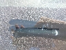1GTP9EEL9MZ****** Used 2021 GMC Sierra 1500 in Fresno