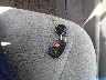 5TFLU4EN0BX****** Salvage 2011 Toyota Tacoma in North Carolina State