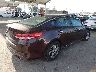 5XXGT4L32GG****** Salvage and Wrecked 2016 Kia Optima in California State
