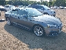 WAUDNCF56JA****** Salvage and Wrecked 2018 Audi A5 in Sayreville