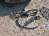 3FADP4BJ3BM****** Wrecked 2011 Ford Fiesta in Montana State